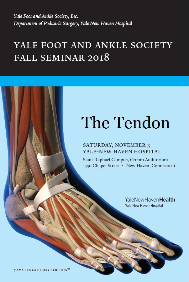 the tendon